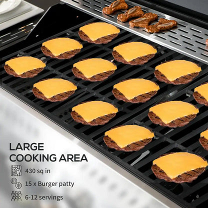 Portable Propane Gas Grill in Black