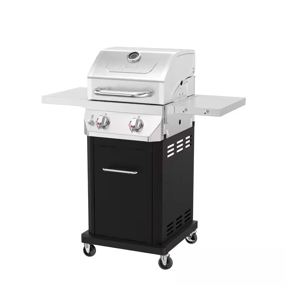 2 Burner Propane Gas Grill in Black