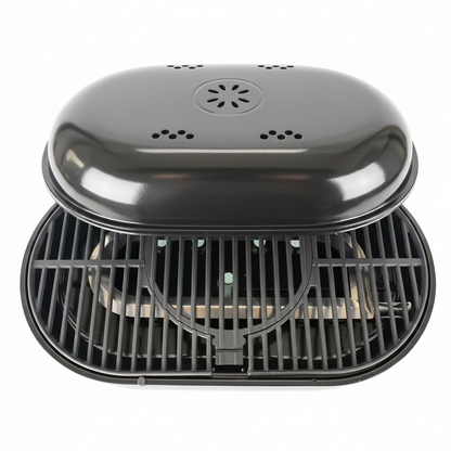 Portable Propane Gas Grill in Black